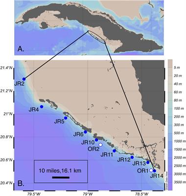 Extracellular Reef Metabolites Across the Protected Jardines de la Reina, Cuba Reef System